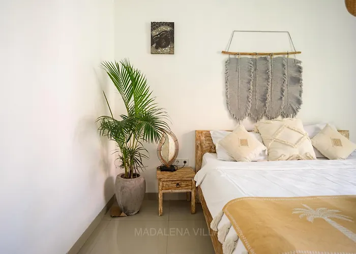 Madalena * Canggu